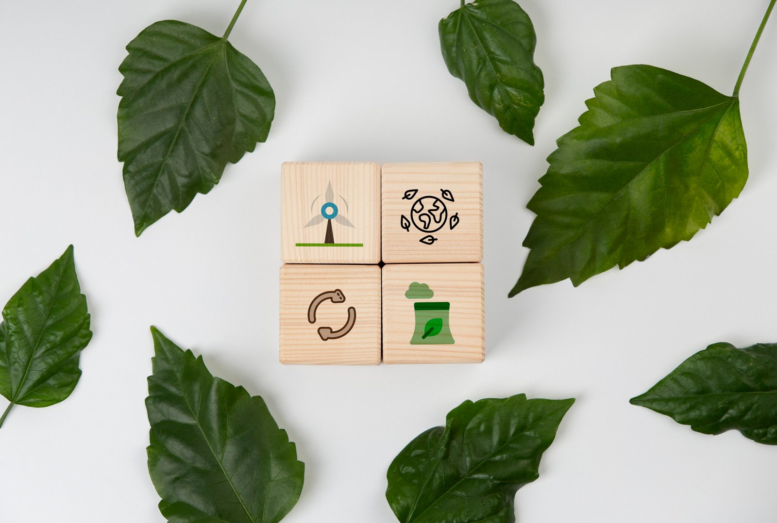Green Living and Sustainable Choices : A Path Toward a Better Future