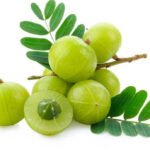Amla to Boost Immunity Naturally